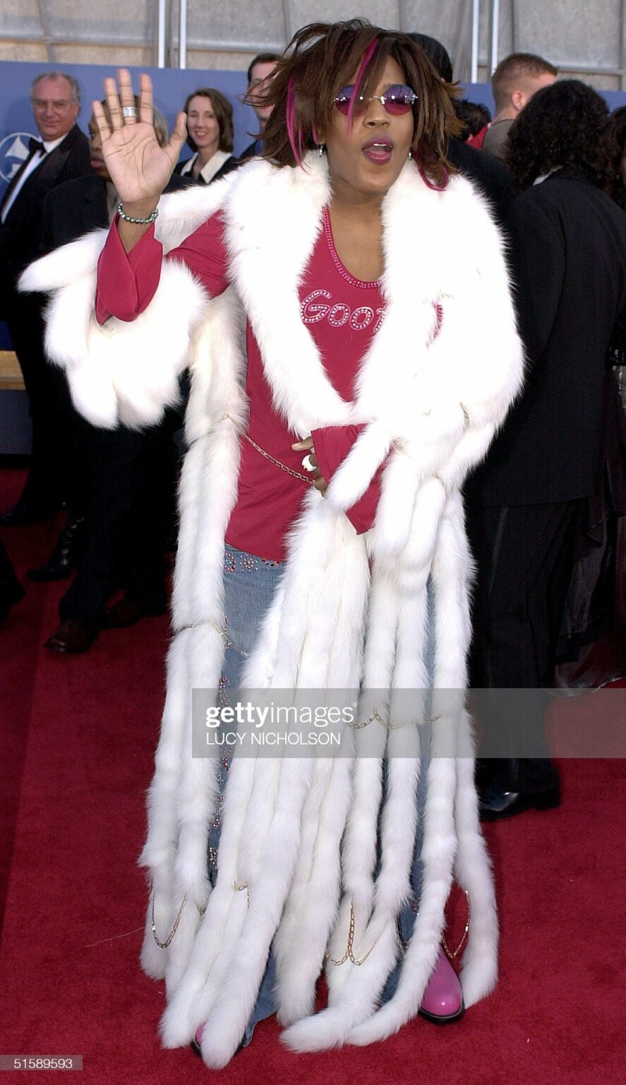 Tracey Hinds The Untold Truth About Macy Gray's ExHusband