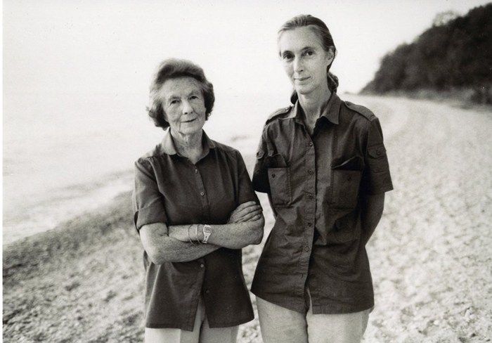 Vanne Morris Goodall: The Mother and Quiet Heart Behind Jane Goodall’s Ambition & Legacy (Margaret Myfanwe Joseph)