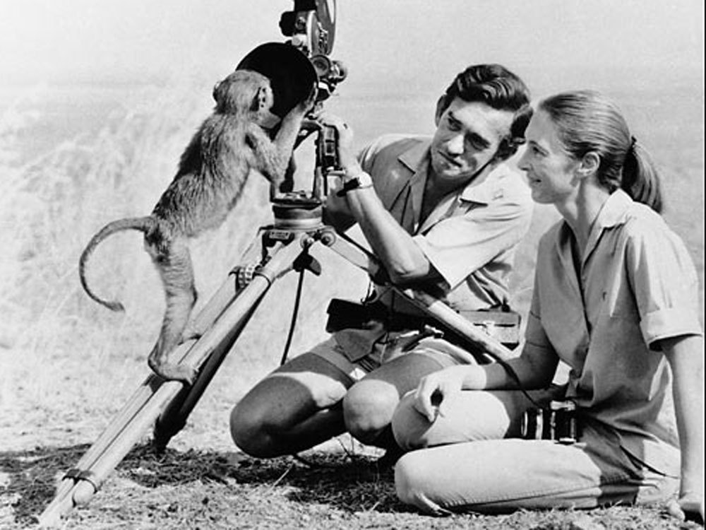 Hugo van Lawick: Wildlife Filmmaker, Jane Goodall’s Ex-Husband & Legacy in Nature’s Lens